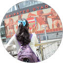 Alya Haniifah profile picture